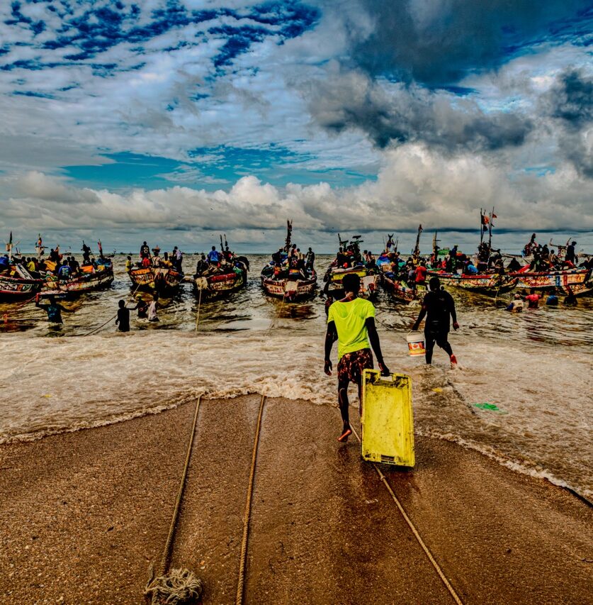 CAT_5731-Migliorato-NR-3 - dimensioni grandi