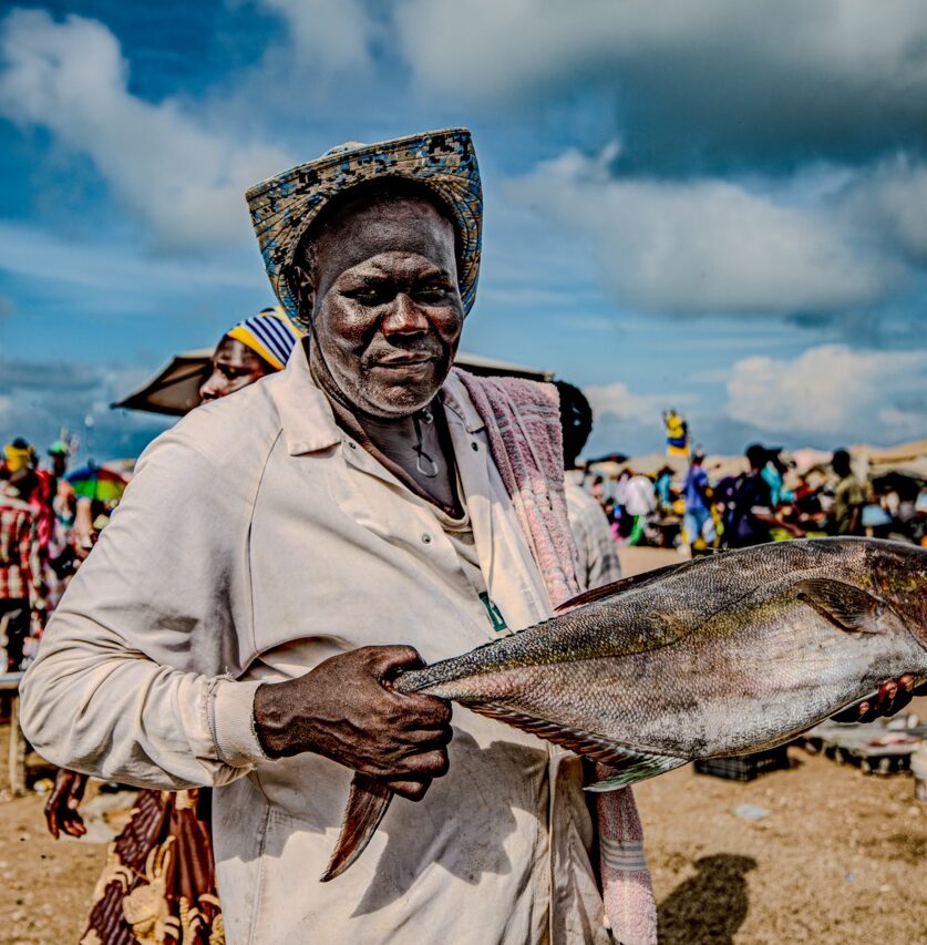 CAT_5624-Migliorato-NR - dimensioni grandi