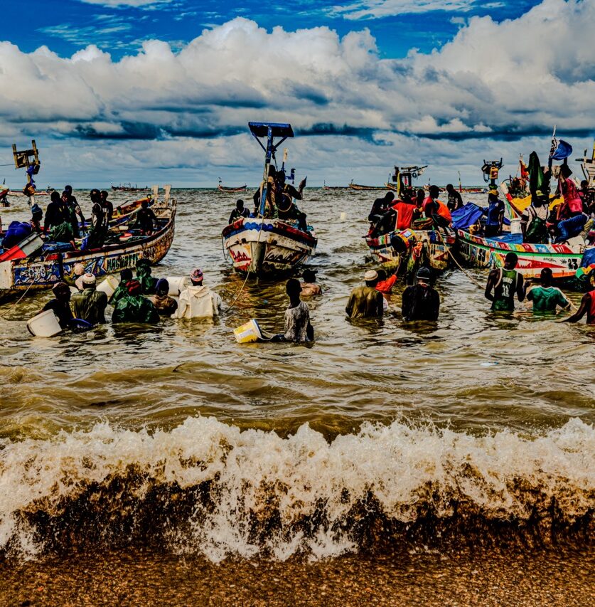 CAT_5742-Migliorato-NR - dimensioni grandi